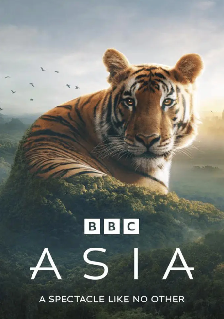 亚洲夸克百度网盘资源 Asia (2024)-夸克资源站