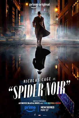暗影蜘蛛侠 Spider-Noir